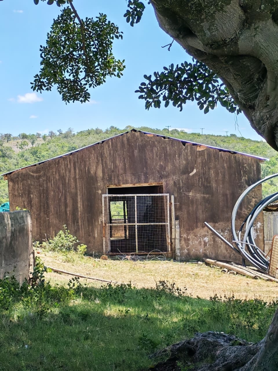 Commercial Property for Sale in Komga Rural Eastern Cape
